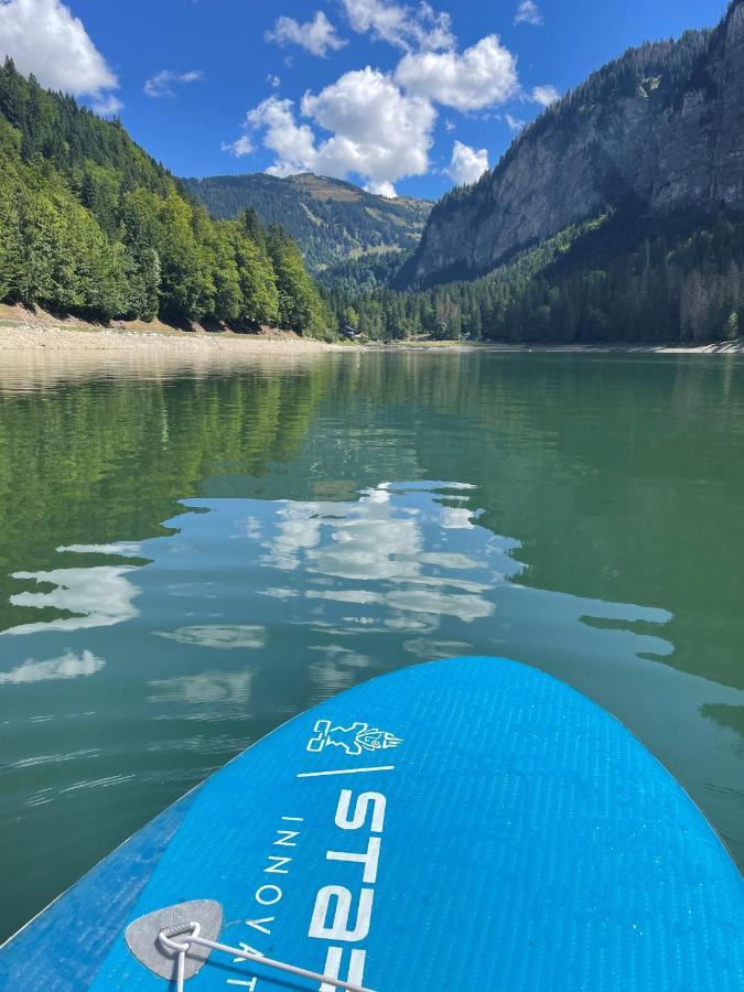La Chaumine Lägenhet Montriond Exteriör bild